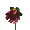 Flower 004