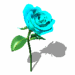 Flower 036
